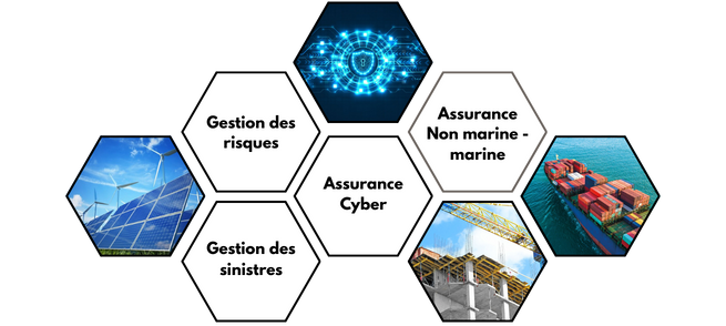 Domaines d'expertise