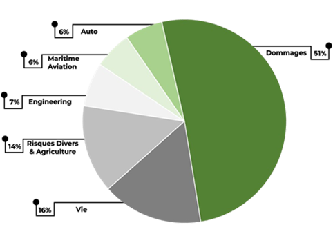 Répartition International